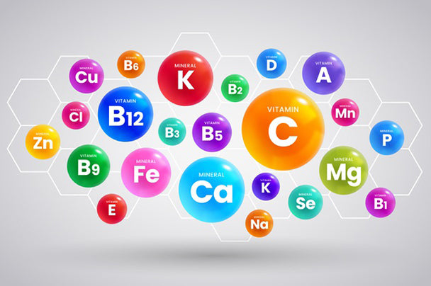 5 Steps to Maintain Optimal Gut Health for Your Fur Babies