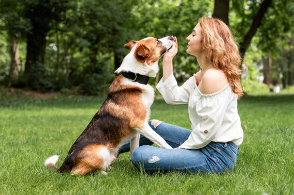 5 effective ways to lovingly train your furry buddy