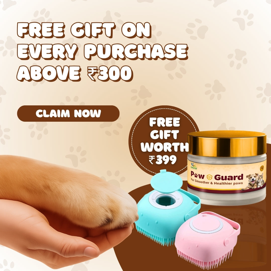 Paw Guard and Hair Brush (Worth 399)!