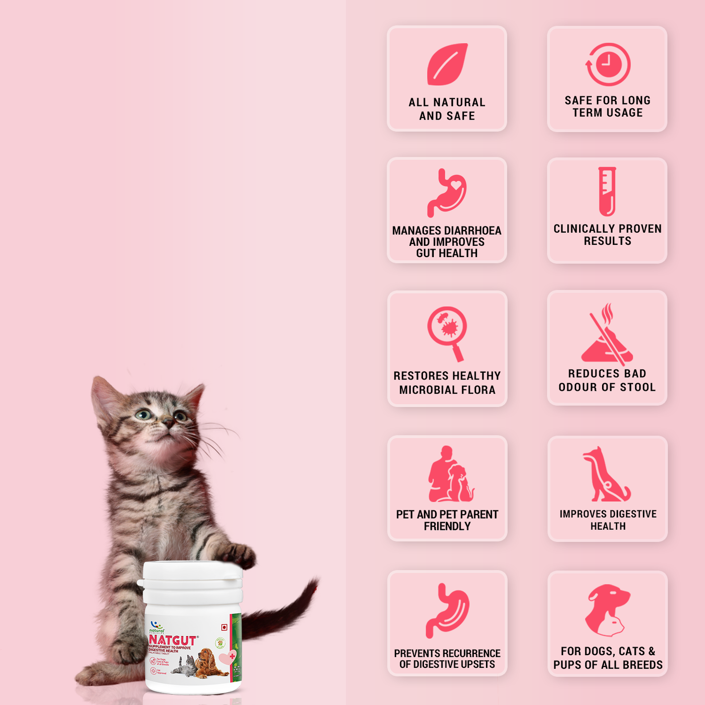 NATGUT - Digestive Supplement For Dog & Cat