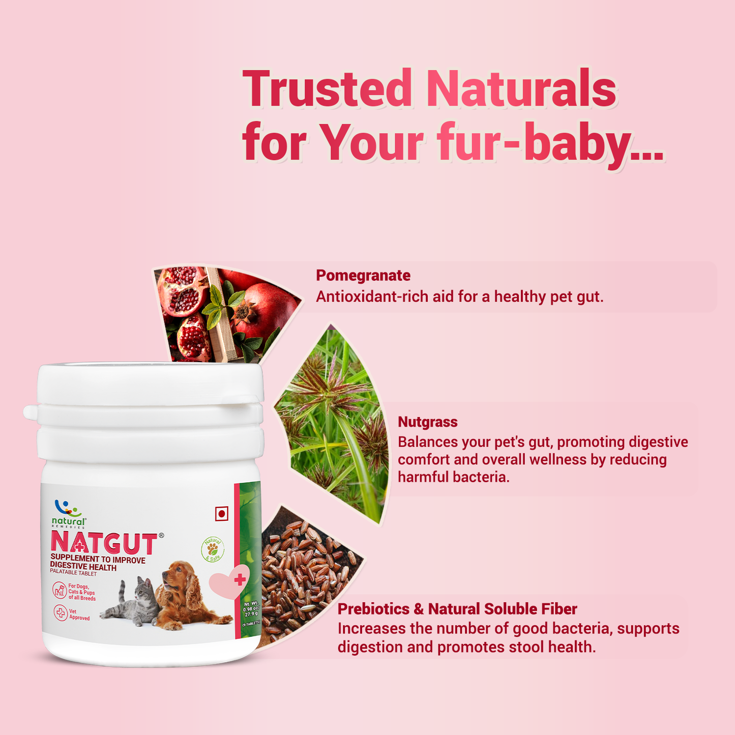 NATGUT - Digestive Supplement For Dog & Cat