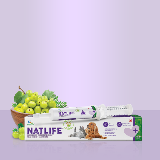 Image NATLIFE - Energy & Immunity Supplement