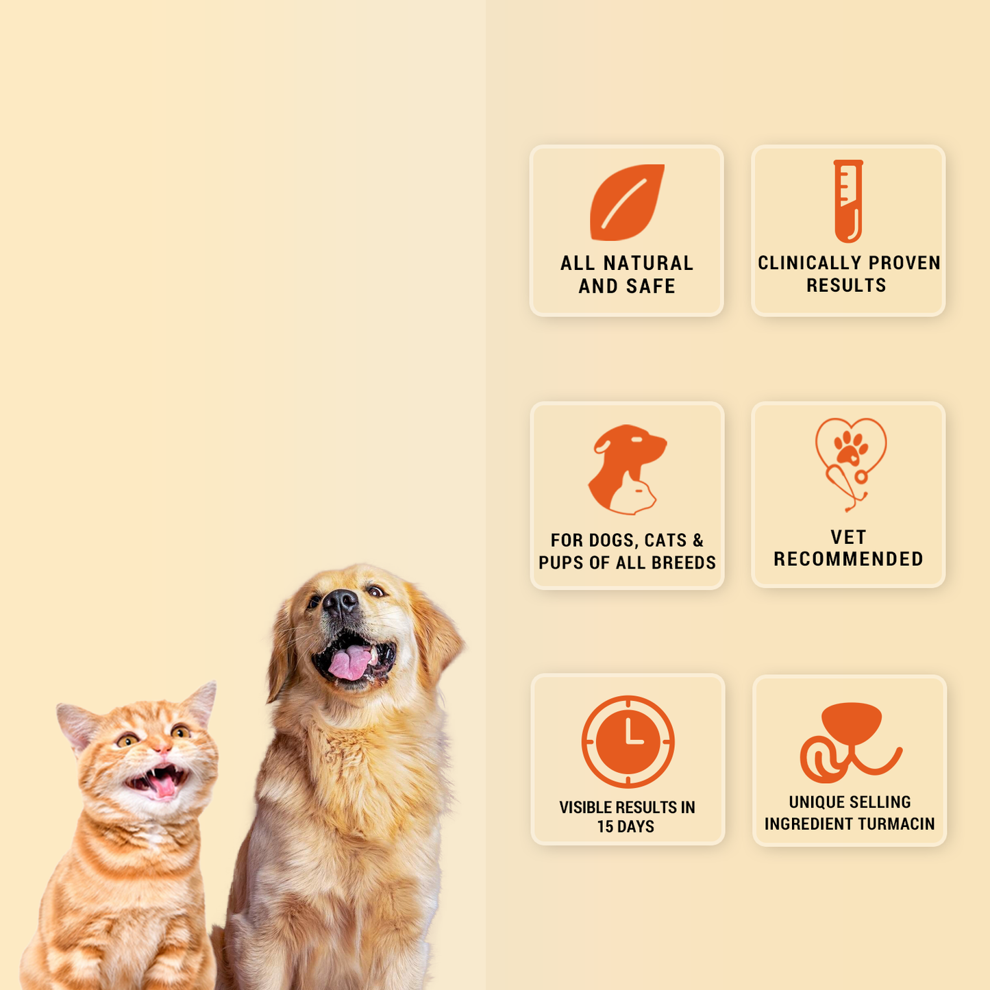 ORTHORON PASTE - Pet Joint Supplements