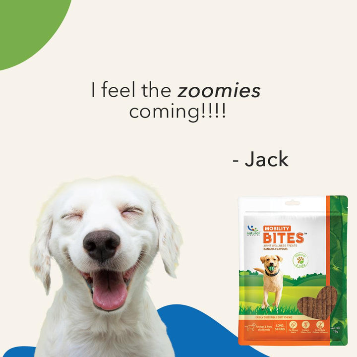 MOBILITY BITES - For Dogs