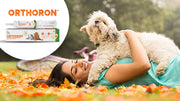 4 Ways To Keep Your Dog’s Joints Healthy And Young