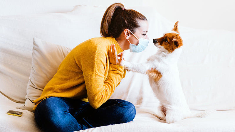 5 reasons why your dog is your best quarantine buddy