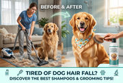 Best Hair Fall Control Shampoo for Dogs
