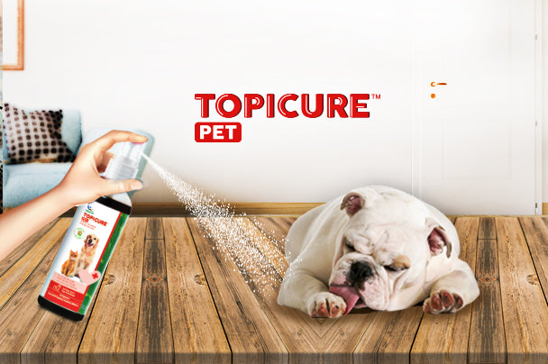 Topical remedies for cleaning dog wounds