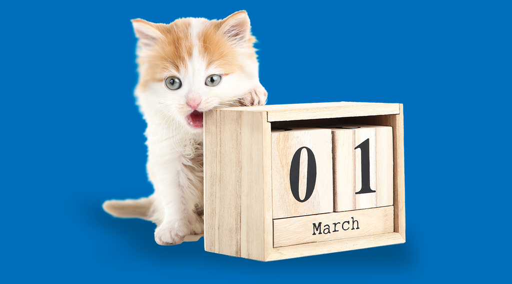 Pet Calendar, Paw Print the Dates!