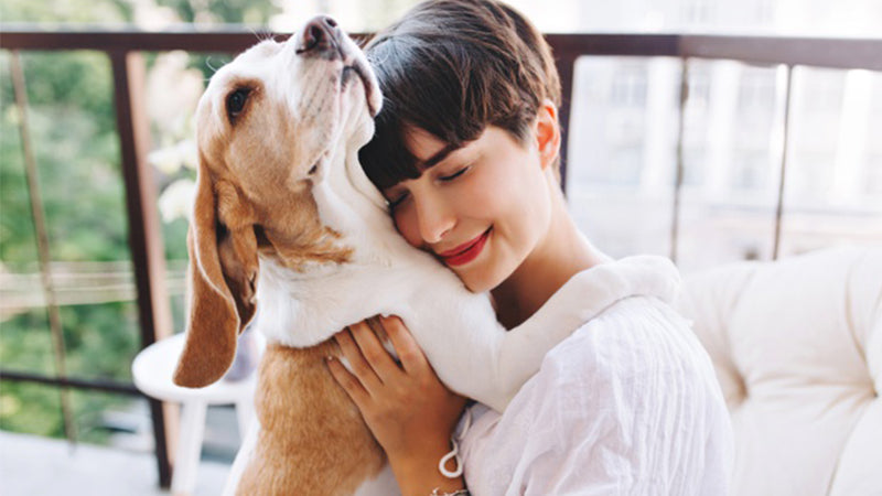 5 Tips to Keep your Pooch Smelling Fresh and Good All The Time