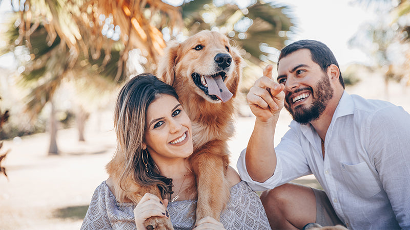 Guide to new Pet Parents for a Healthy and Happy fur baby