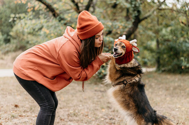 Everything you need to know about Seasonal Affective Disorder (SAD) in Dogs