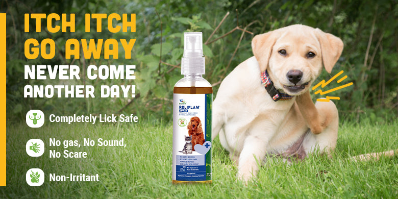 Reliflam: Your Go-To Solution for Pet Itchiness and Discomfort