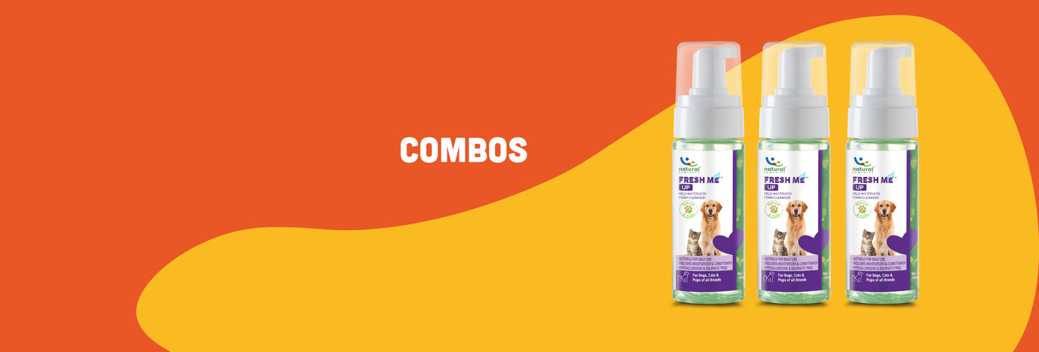 Combos for Cat