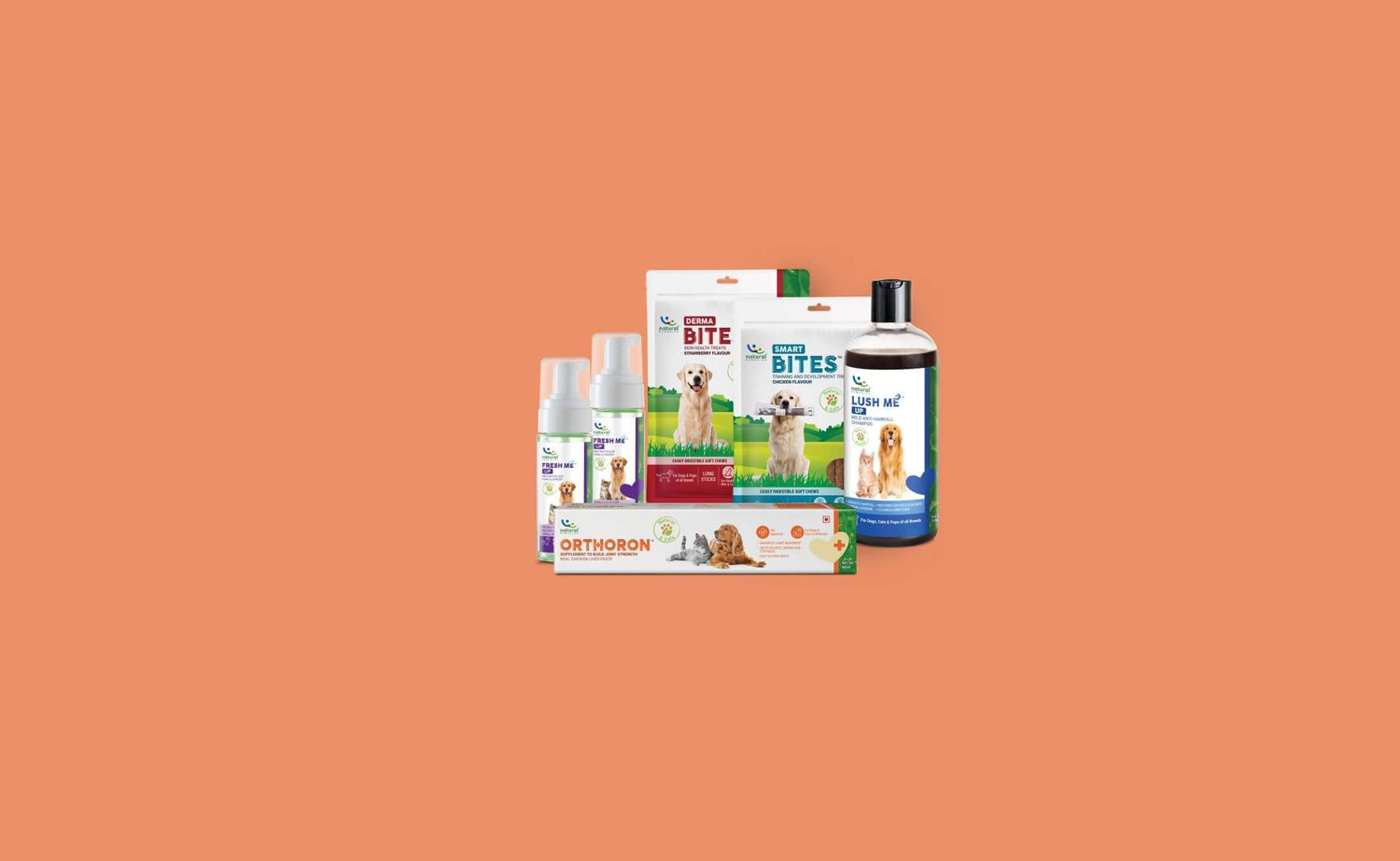 Popular Products