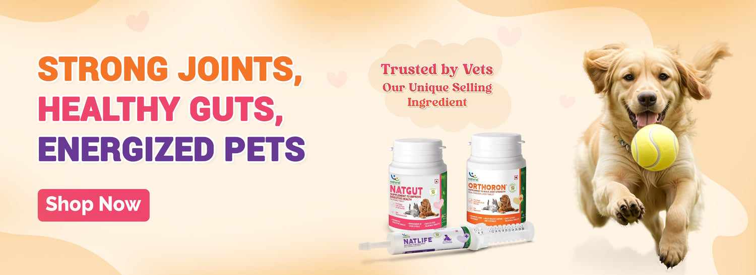 Supplements