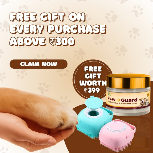 Paw Guard and Hair Brush (Worth 399)!