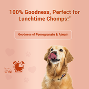 Treat O'Clock Chicken & Egg Dog Treats | Natural High-Protein Snacks for Growth & Energetic Play