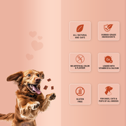 Treat O'Clock Chicken & Egg Dog Treats | Natural High-Protein Snacks for Growth & Energetic Play