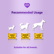 TREAT O'CLOCK (CHICKEN&RICE)