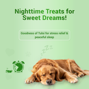 Treat O'Clock Hemp & Tulsi Calming Dog Treats | Natural Stress Relief & Night-Time Snacks with Real Chicken Meat