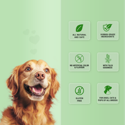 Treat O'Clock Hemp & Tulsi Calming Dog Treats | Natural Stress Relief & Night-Time Snacks with Real Chicken Meat