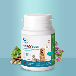 HepNsure Liver care