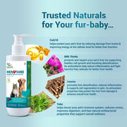 HepNSure Complete Liver Care Syrup for Dogs & Cats (100 mL) | Liver Detox, Hepatoprotective & Holistic Liver Support