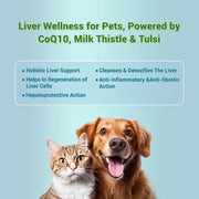 HepNSure Complete Liver Care Syrup for Dogs & Cats (100 mL) | Liver Detox, Hepatoprotective & Holistic Liver Support