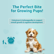 TREAT O'CLOCK (MILK)