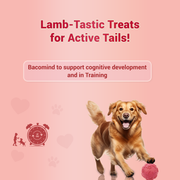 TREAT O'CLOCK (MUTTON)