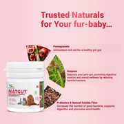 Natgut Natural Digestive Supplement for Dogs & Cats | Herbal Probiotic Tablets for Diarrhea Relief & Gut Health