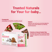 Natgut Natural Digestive Supplement for Dogs & Cats | Fast-Acting Herbal Granules for Diarrhea Relief & Gut Immunity - 30 Sachets