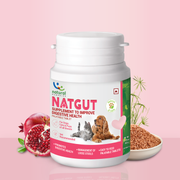 Natgut Natural Digestive Supplement for Dogs & Cats | Herbal Probiotic Tablets for Diarrhea Relief & Gut Health