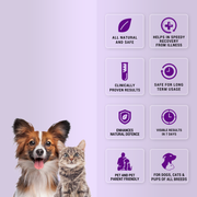 Natlife Natural Energy & Immunity Booster Paste for Dogs & Cats | Fast-Acting Herbal Recovery Supplement for Dull & Sick Pets - 30ml