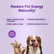 Natlife Natural Energy & Immunity Booster Paste for Dogs & Cats | Fast-Acting Herbal Recovery Supplement for Dull & Sick Pets - 30ml