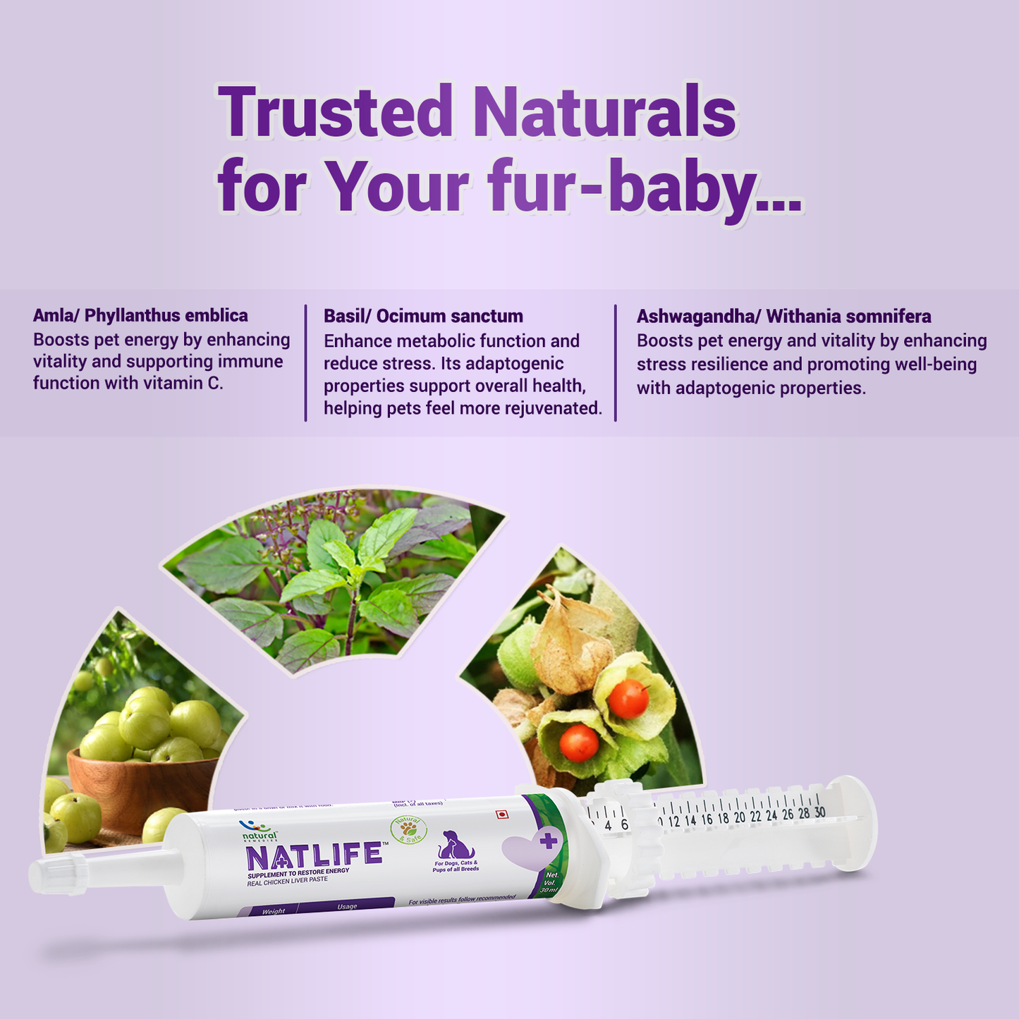 NATLIFE - Energy & Immunity Supplement