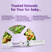 Natlife Natural Energy & Immunity Booster Paste for Dogs & Cats | Fast-Acting Herbal Recovery Supplement for Dull & Sick Pets - 30ml