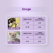 Natlife Natural Energy & Immunity Booster Paste for Dogs & Cats | Fast-Acting Herbal Recovery Supplement for Dull & Sick Pets - 30ml