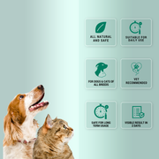 Nomoticks Natural Tick & Flea Body & Home Spray | Herbal Repellent for Dogs, Cats & Household Surfaces