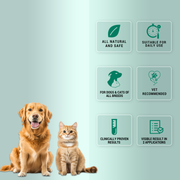 Nomoticks Extra Natural Tick and Flea Spray for Dogs & Cats | Fast-Acting Herbal Treatment for Infestations