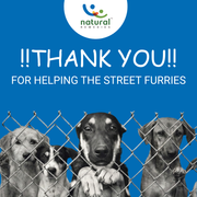 You have donated Rs. 10 to Street Dogs with this order