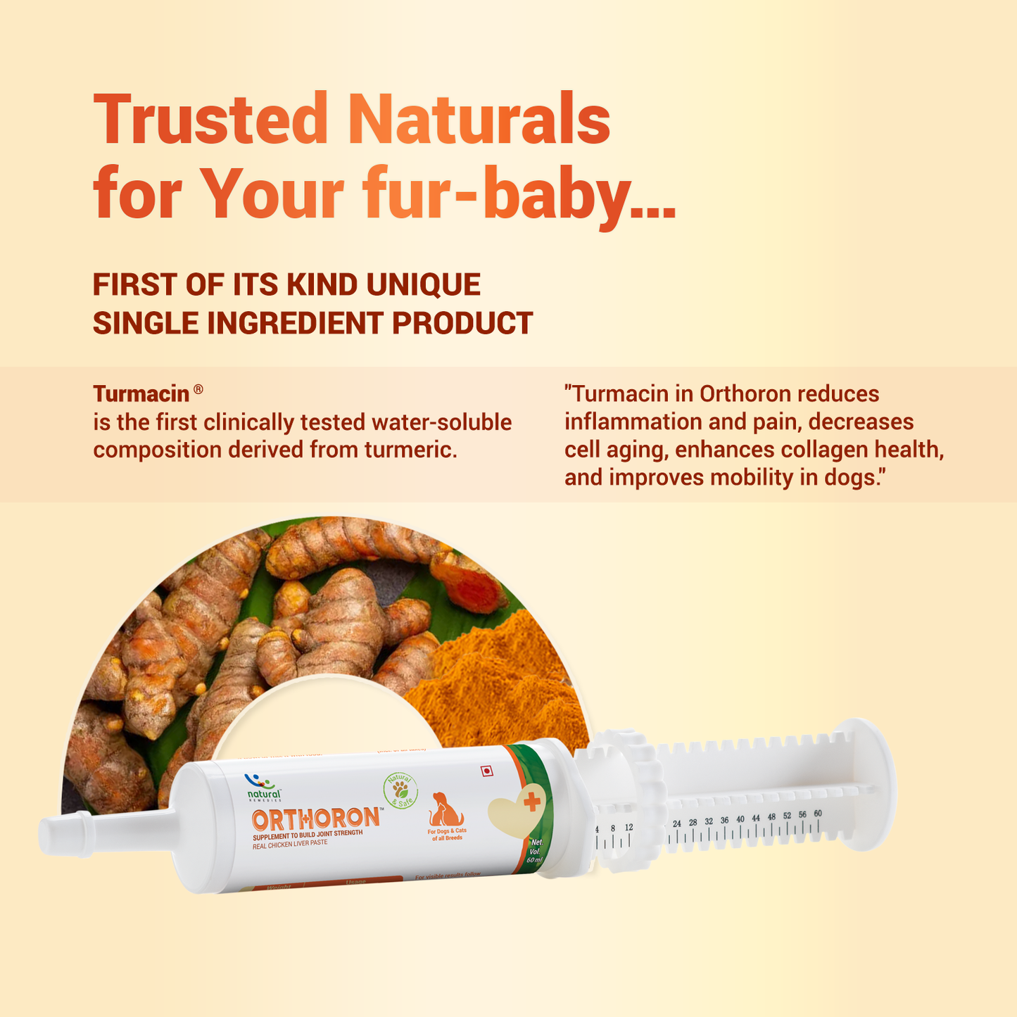 ORTHORON PASTE - Pet Joint Supplements