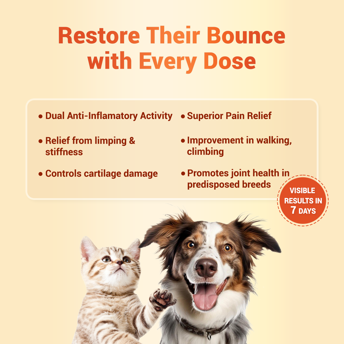 Orthoron Plus Advanced Joint Care Supplement for Dogs & Cats