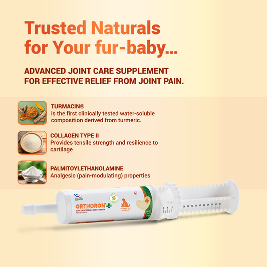 Orthoron Plus Paste – Advanced Joint Care for Dogs & Cats 60ml