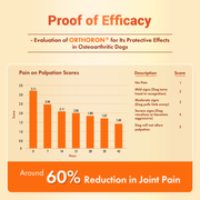 Orthoron Plus Paste – Advanced Joint Care for Dogs & Cats 60ml