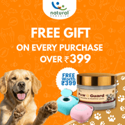 Paw Guard and Hair Brush (Worth 399)!