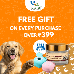 Paw Guard and Hair Brush (Worth 399)!