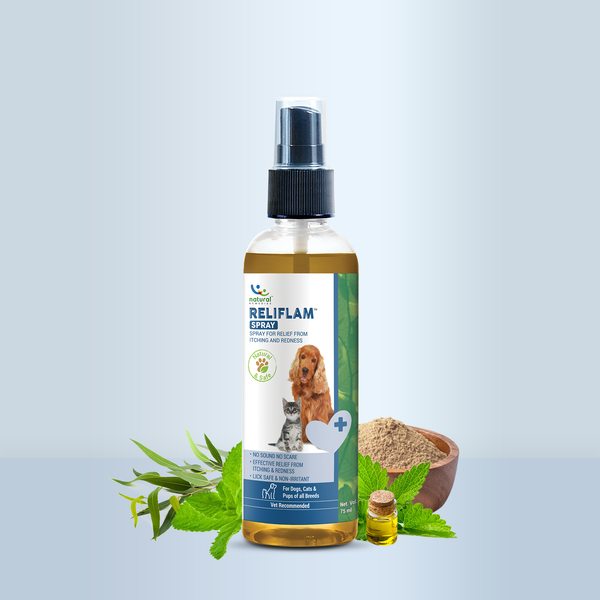 Reliflam Natural Itch Relief Spray for Dogs & Cats | Natural Cure for Skin Allergies, Rashes & Hot Spots - 75ml