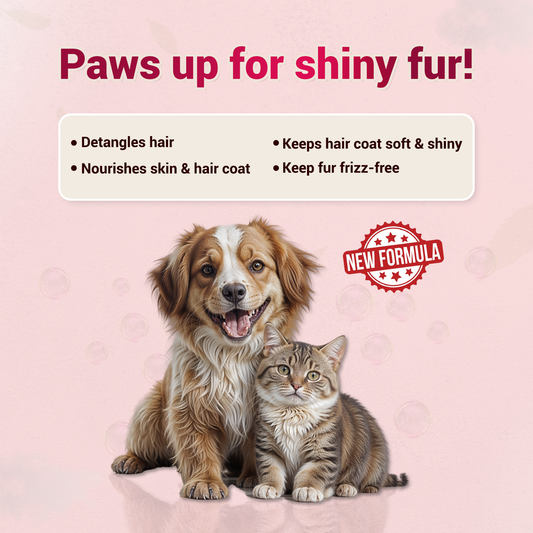 Shine Me Up Advanced | Natural Coat Serum for Dogs & Cats | Detangles & Nourishes (90ml)